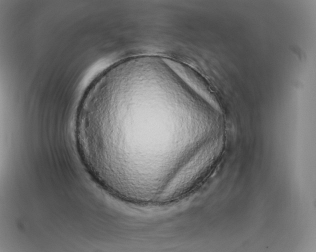 X0000114070006200910191531