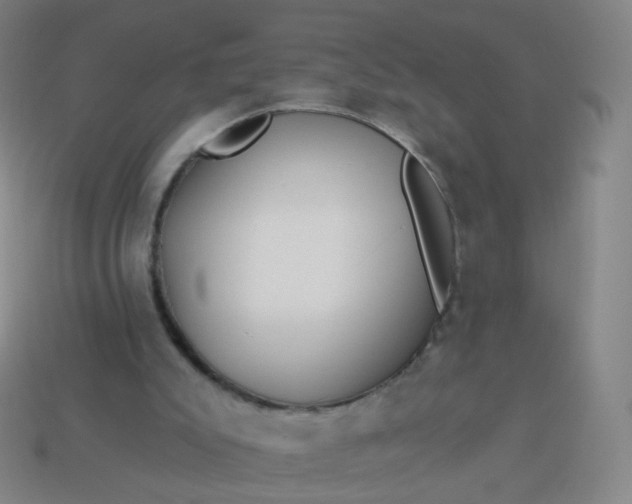 X0000114070007200910191531