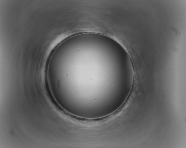 X0000114070008200910191531