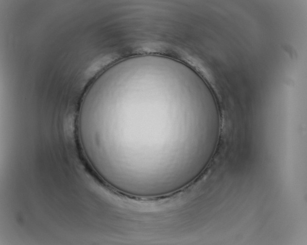 X0000114070010200910191531