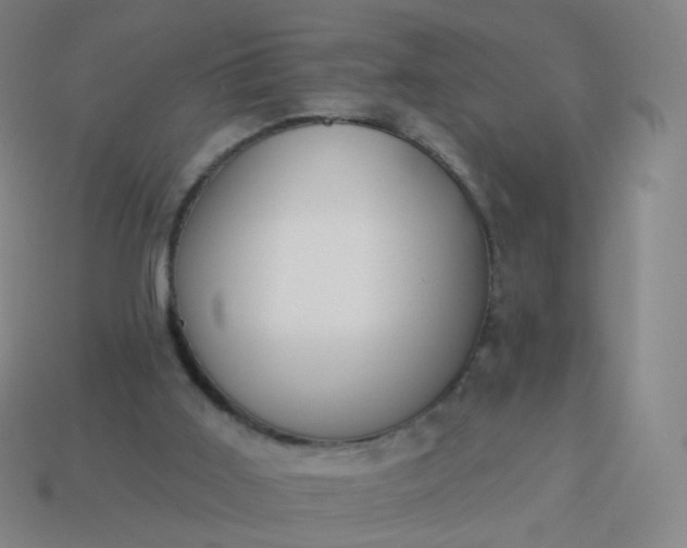 X0000114070011200910191531