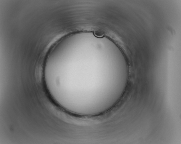 X0000114070012200910191531