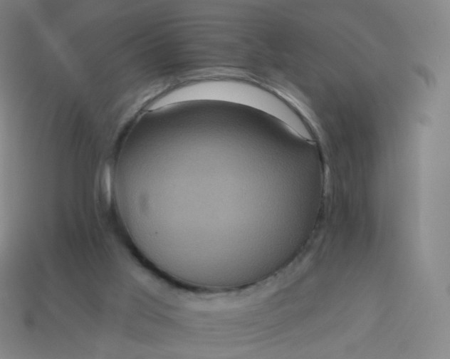 X0000114070013200910191531