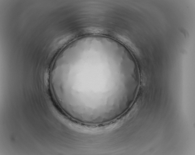 X0000114070014200910191531