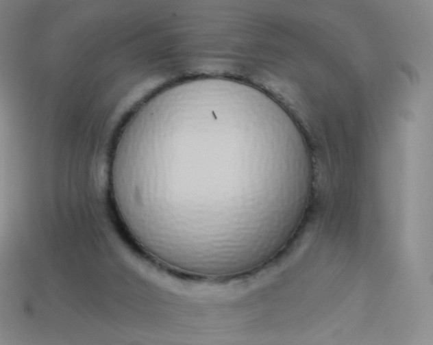 X0000114070016200910191531