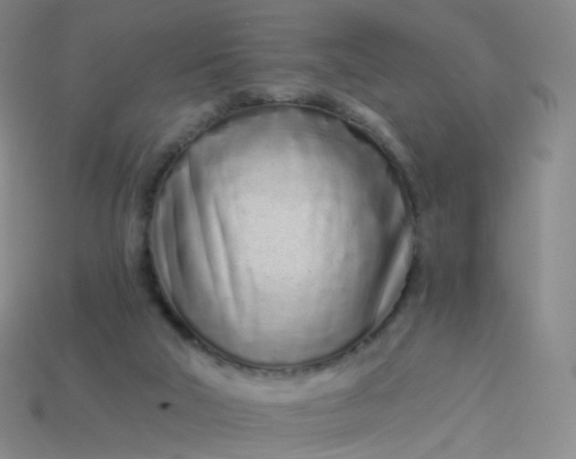 X0000114070018200910191531