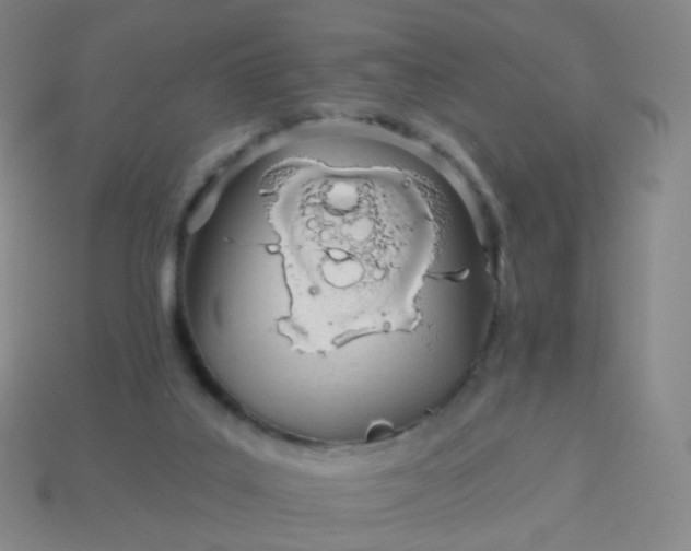 X0000114070019200910191531