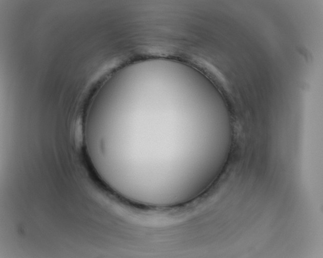 X0000114070020200910191531