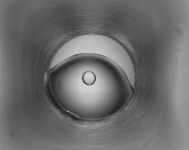 X0000114070021200910191531