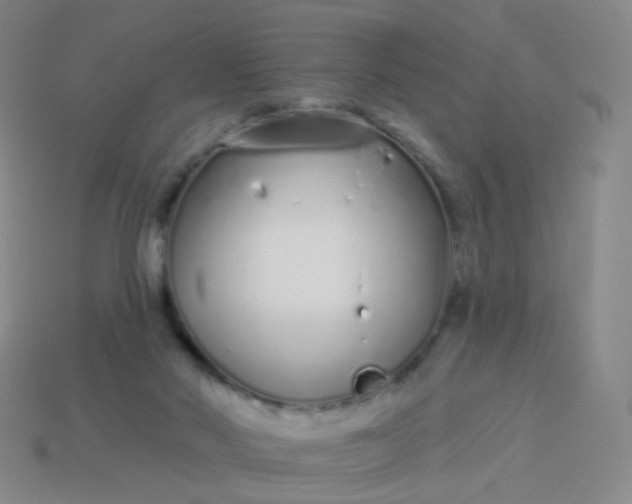 X0000114070022200910191531