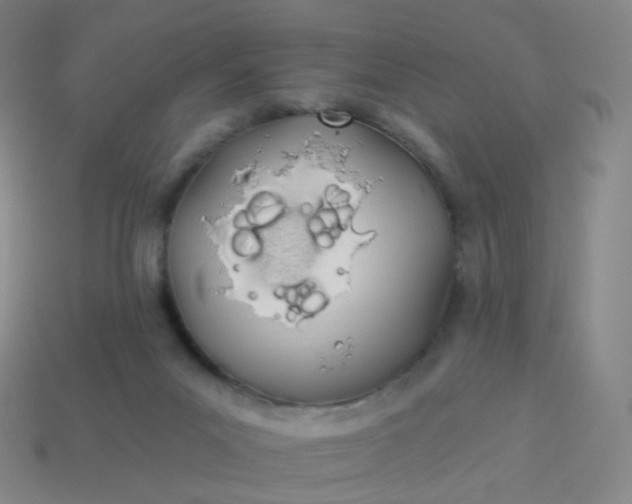 X0000114070023200910191531