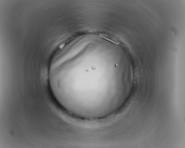 X0000114070024200910191531