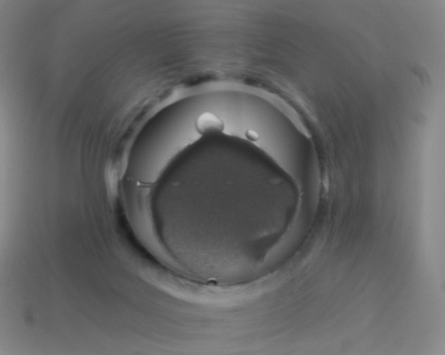 X0000114070027200910191531