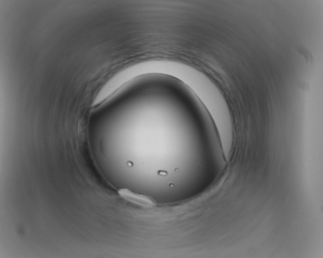 X0000114070029200910191531