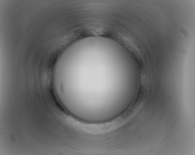 X0000114070030200910191531