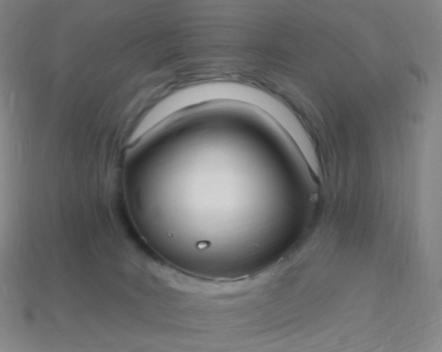 X0000114070035200910191531