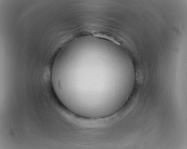 X0000114070036200910191531