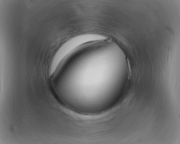 X0000114070039200910191531