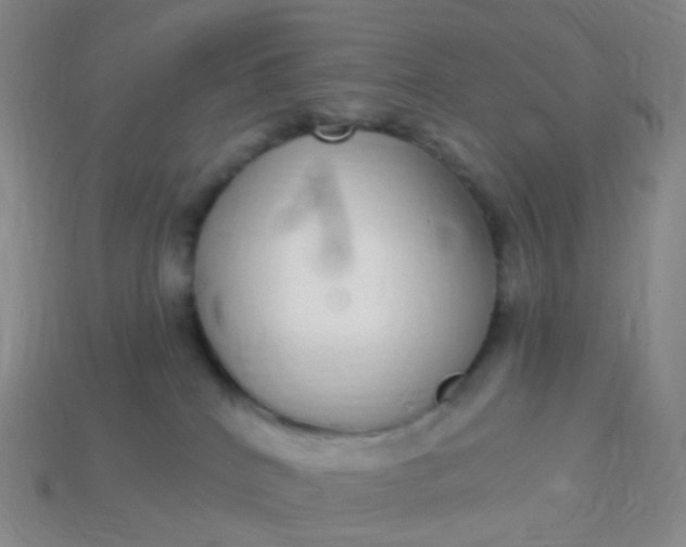 X0000114070040200910191531