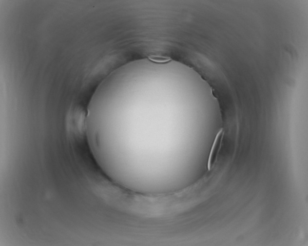 X0000114070041200910191531