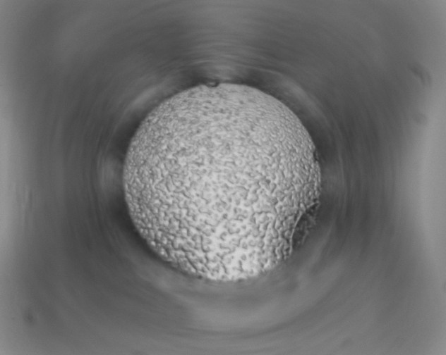 X0000114070043200910191531