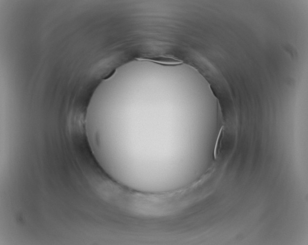 X0000114070045200910191531