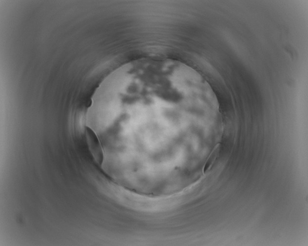 X0000114070047200910191531