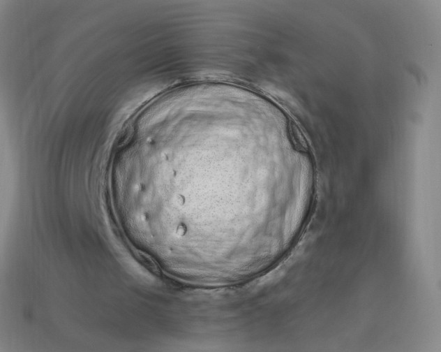 X0000114070049200910191530