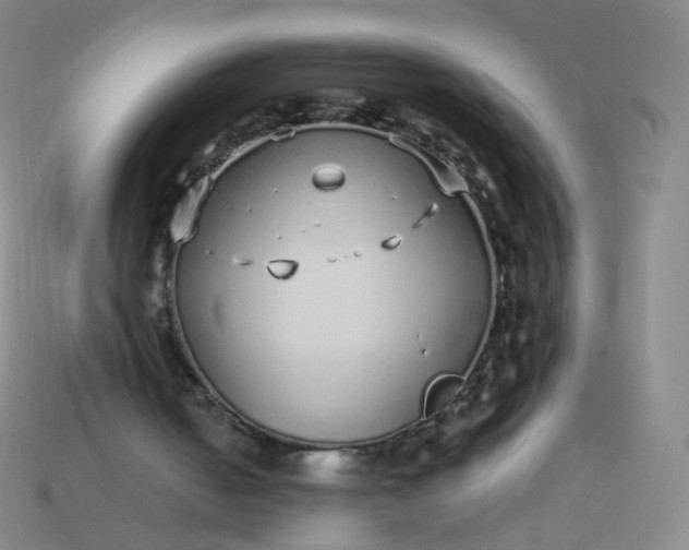 X0000114070050200910191530