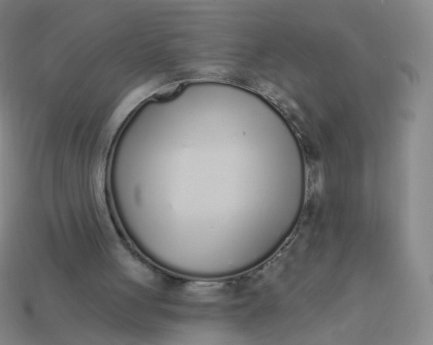 X0000114070051200910191530