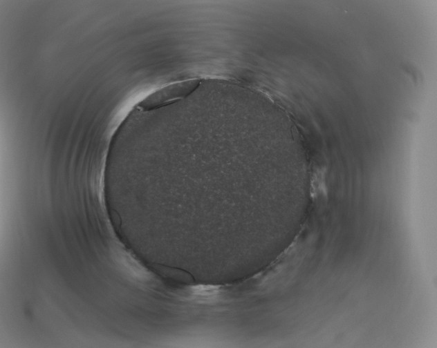 X0000114070052200910191530