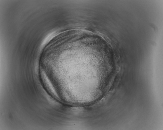 X0000114070053200910191530