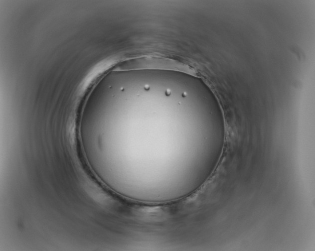 X0000114070054200910191530