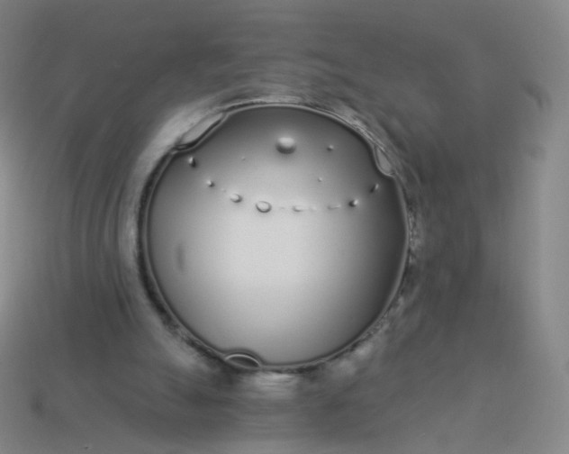 X0000114070055200910191530