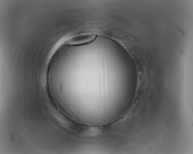 X0000114070056200910191530