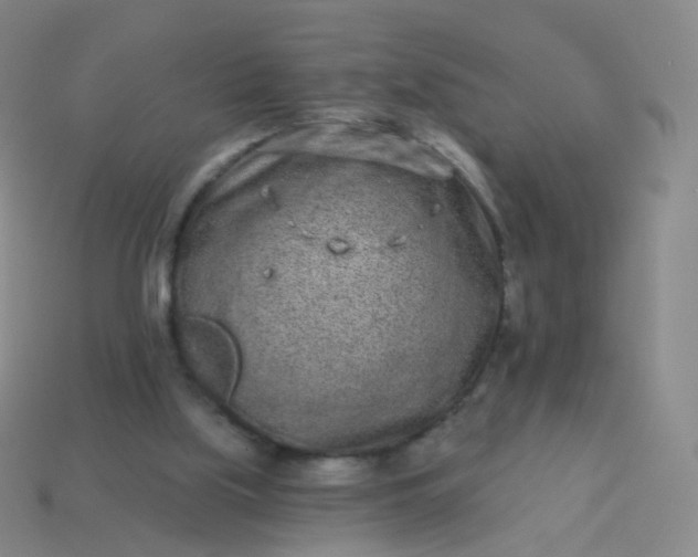 X0000114070059200910191530