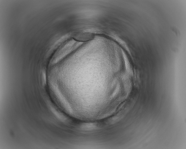 X0000114070061200910191530