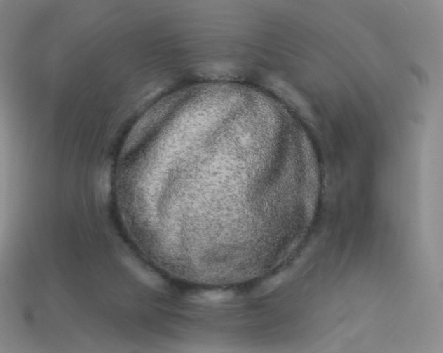 X0000114070065200910191530