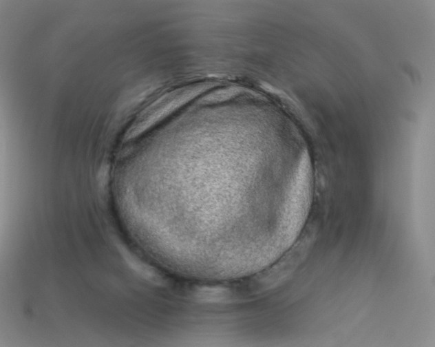 X0000114070066200910191530