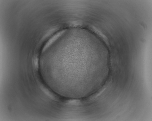 X0000114070067200910191530