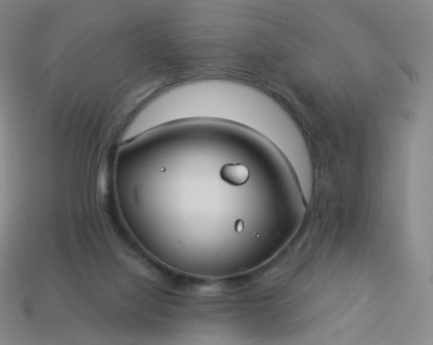 X0000114070068200910191530