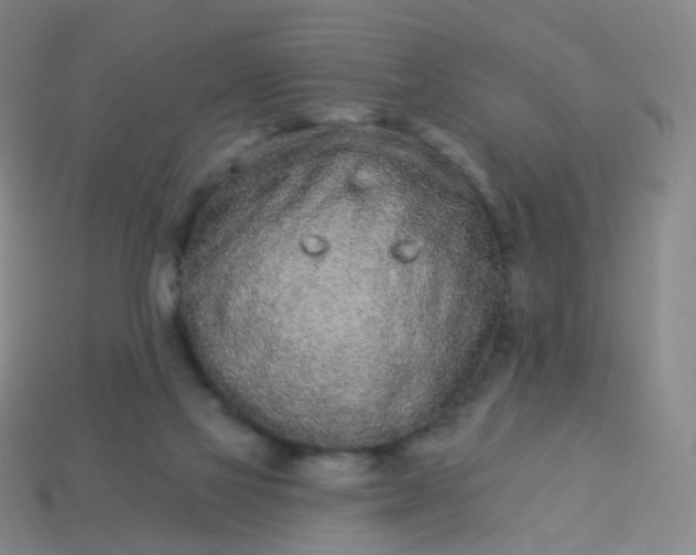 X0000114070069200910191530