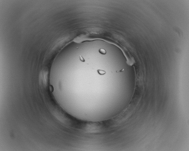 X0000114070070200910191530