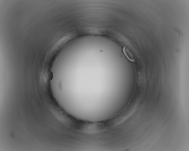 X0000114070072200910191530