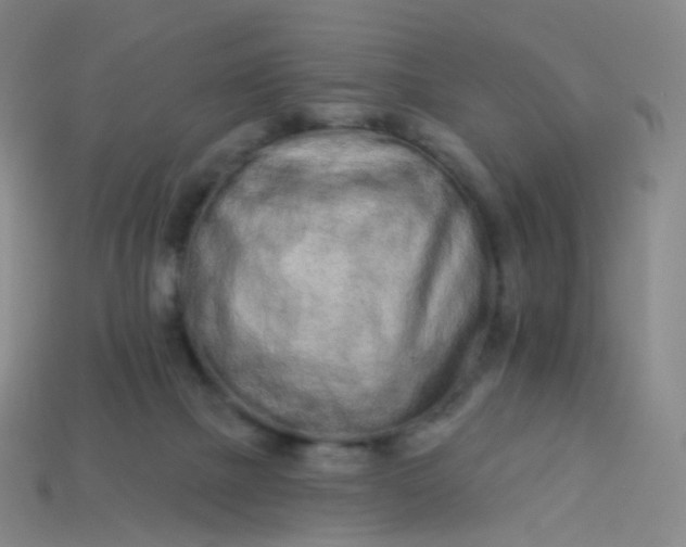 X0000114070073200910191530