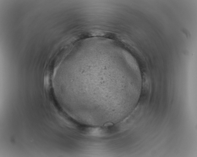 X0000114070074200910191530