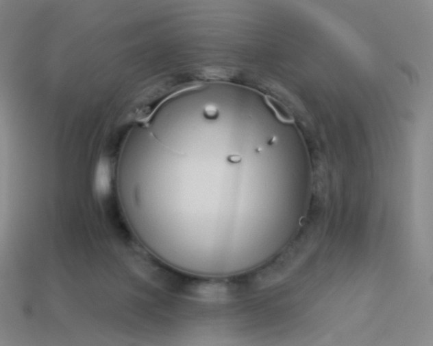 X0000114070075200910191530