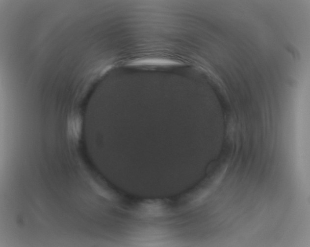 X0000114070076200910191530