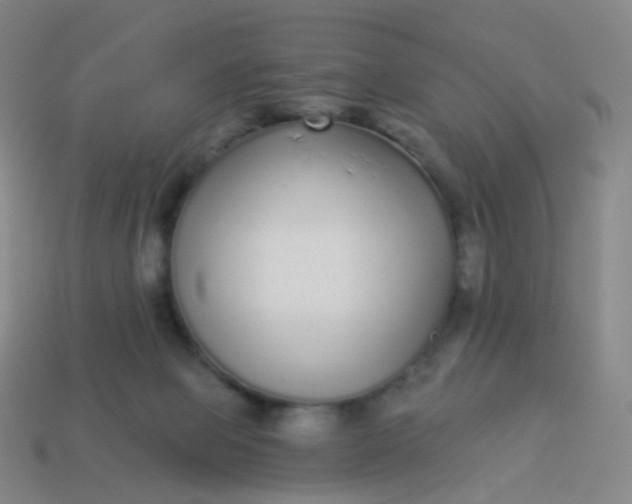 X0000114070077200910191530