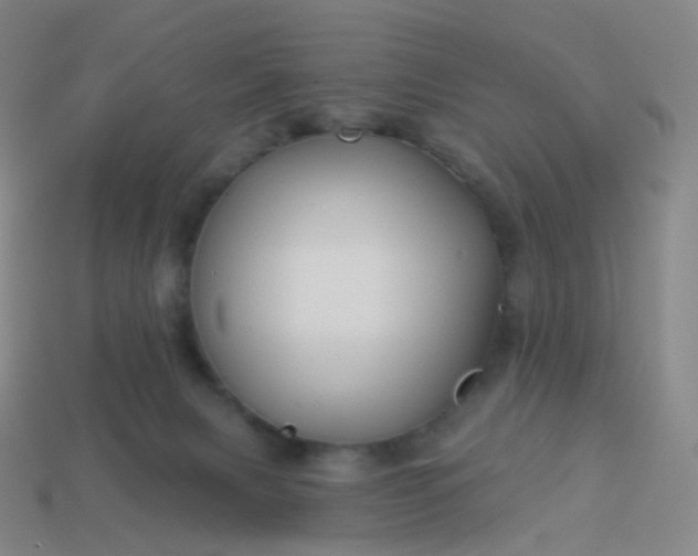 X0000114070079200910191530